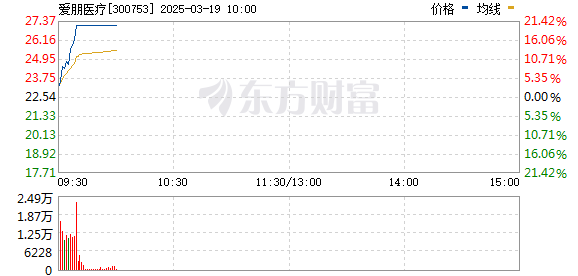 R图 300753_0