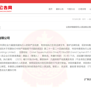 突然被执行悬赏！曾是300亿A股公司实控人