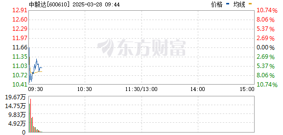 R图 600610_0
