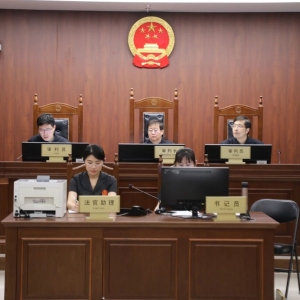 殴打证监局执法人员 首例涉嫌暴力抗法案件二审中 案情与庭审情况曝光 ...