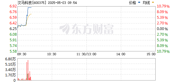 R图 600375_0