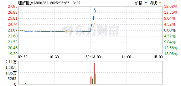 R图 300438_0