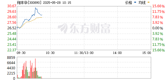 R图 300890_0