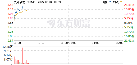 R图 300163_0