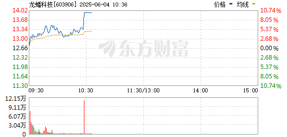 R图 603906_0