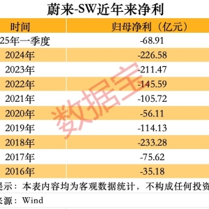 蔚来汽车十年亏近1300亿元！小米汽车一季度毛利率最高，小鹏汽车登顶新势力销冠 ...