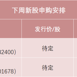 下周2只新股申购 半导体细分龙头来了！