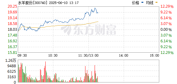 R图 300740_0