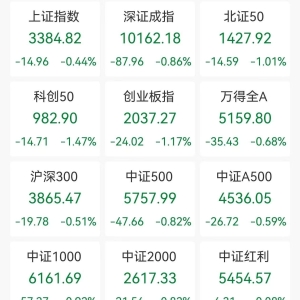 A股收评：午后跳水！三大指数齐跌，沪指跌0.44%创业板指跌1.17%，航运港口、稀土板块 ...