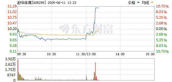 R图 605299_0