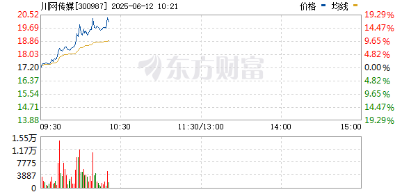 R图 300987_0