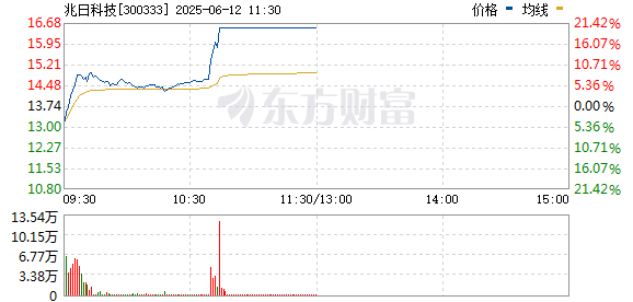 R图 300333_0