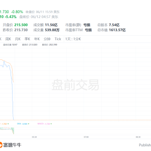 专家分析：坠毁的印度航空波音787客机可能是由于遭遇鸟击，导致飞机未能达到起飞所需 ...