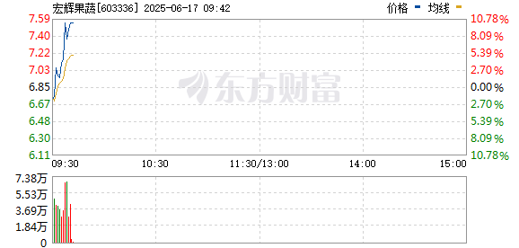 R图 603336_0