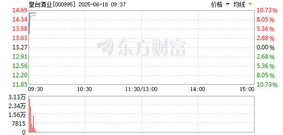 R图 000995_0