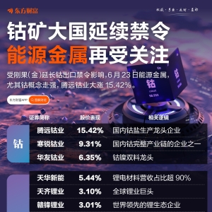 钴矿第一大国延长禁令！能源金属集体大涨