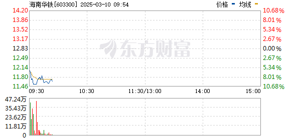 R图 603300_0