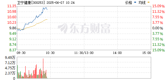 R图 300253_0