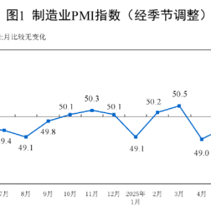 统计局：6月制造业PMI为49.7% 比上月上升0.2个百分点