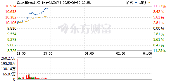 R图 SOUN_0