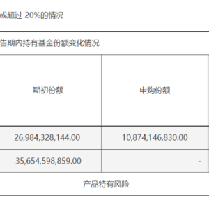 范围广、力度大！中央汇金稳市这样打 关键时刻显身手