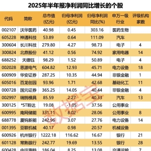 首批2025年半年报新鲜出炉（附名单）
