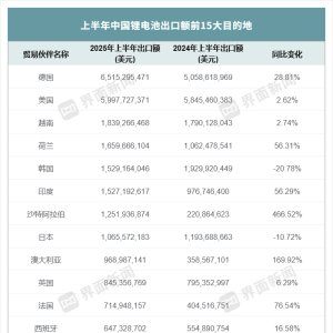 重回增势！上半年中国锂电池出口额创历史同期新高