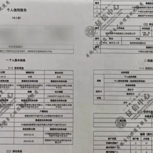 借钱不用还？53岁村民沦为职业背债人 面临48万元巨额债务