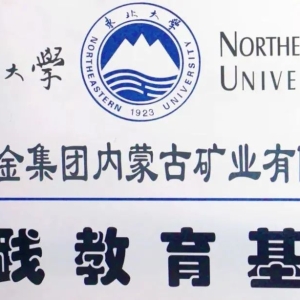 格栅板脱落坠入浮选槽 6名大学生在选矿厂不幸溺亡！溺亡者同学：里面是矿浆 人掉进去 ...