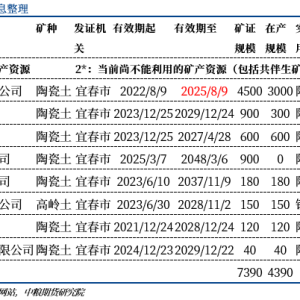 碳酸锂：牛市初成