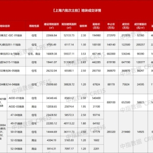 上海第六批集中供地成交总额289.57亿元：多宗地块高溢价成交 徐汇宅地刷新全国单价地 ...