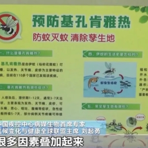 确诊超4000例 基孔肯雅热啥来头？没有出现确诊病例的地区如何防护 ...