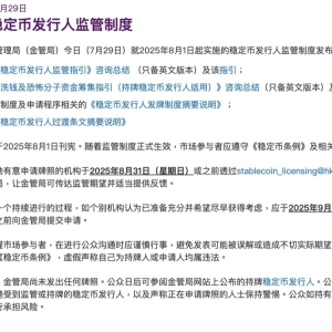 稳定币牌照申请指南！首批仅发数张 机构预测蚂蚁将入围