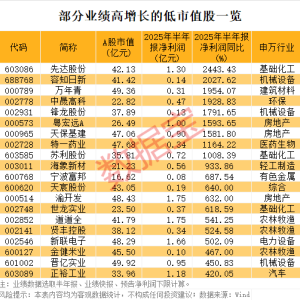 稀缺 “小而美”股票出炉 低市值+低PE+高增长18股上榜