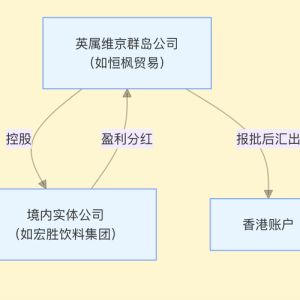 宗庆后家族“信托案”中的18亿美元从何而来？