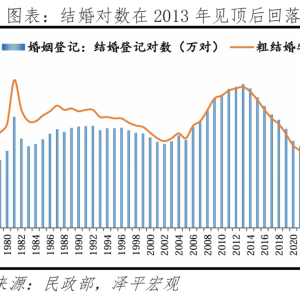 中国婚姻报告2025：全国结婚、离婚登记同比分别增加26.8万对、减少7万对，男性未婚比 ...