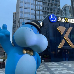 盒马X会员店陆续停业，仅余一家也将于8月31日关闭