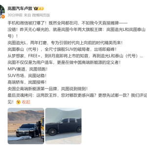 岚图CEO卢放确认两大旗舰车型 追光L被称“武汉古思特”，泰山SUV剑指高端市场 ...