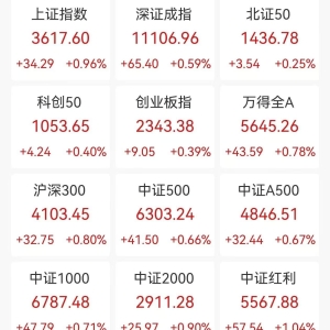 A股收评：三大指数集体上涨，沪指涨0.96%重回3600点创业板指涨0.39%，PEEK材料、消费 ...