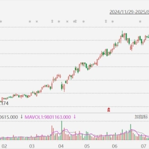 泡泡玛特涨近6%再创历史新高，市值逼近4000亿港元！摩根士丹利：公司平台价值可能被低 ...