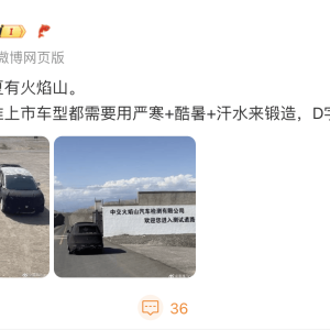 零跑旗舰D系列新车谍照曝光，2026年一季度量产