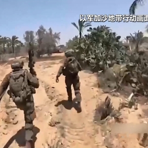 以色列“接管”加沙城计划引发国际震动！德国将暂停对以军售 ...