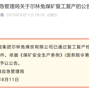 伊金霍洛旗应急管理局关于尔林兔煤矿复工复产的公告