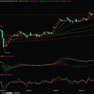 白银遭遇"黑色星期一"：关税政策摇摆+美元走强双重压制，技术面关注38美元争夺战 ...