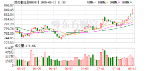 鸡苗价格飙涨300% 8只概念股业绩报喜（附名单）