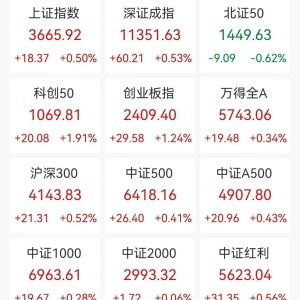 A股收评：指数高开高走，三大指数均创年内新高，北证50跌0.62%，脑机接口、燃气板块走 ...