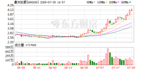 600208，重大资产重组，押注靶材龙头！