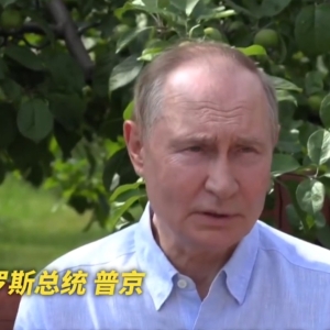 最新！普京同金正恩通电话，再次赞赏朝鲜在俄方收复库尔斯克过程中所提供的支援 ...
