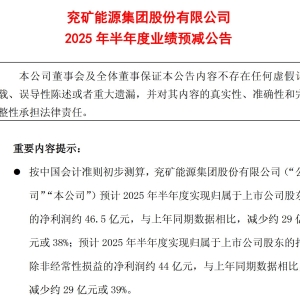 煤炭巨头兖矿能源上半年净利预降38%，“另一条腿”能否撑起未来？ ...