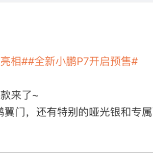 全新小鹏P7鹏翼门亮相：拥有哑光银配色和迎宾踏板等专属配置 ...